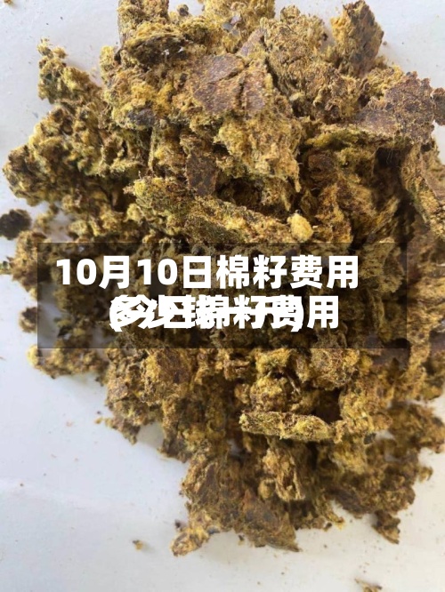 10月10日棉籽费用(今日棉籽费用多少钱一斤)