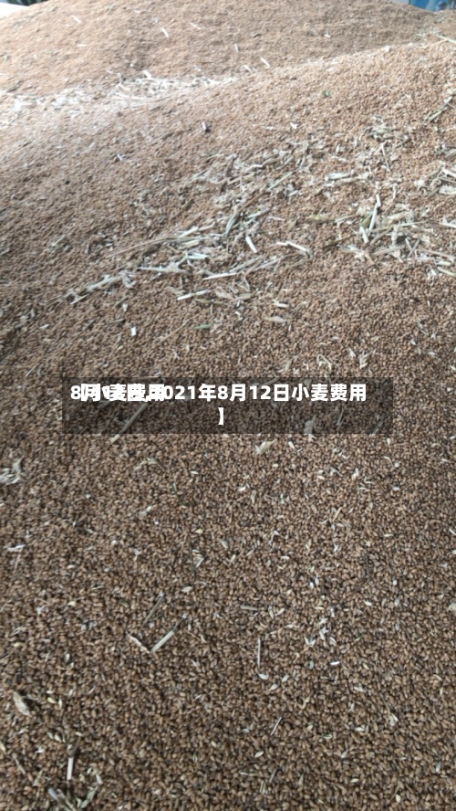【小麦费用
8月12日,2021年8月12日小麦费用
】-第2张图片