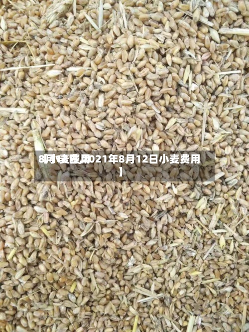 【小麦费用8月12日,2021年8月12日小麦费用】