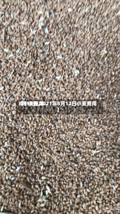 【小麦费用
8月12日,2021年8月12日小麦费用
】-第3张图片
