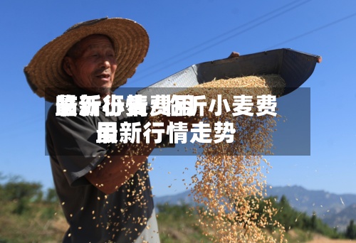 临沂小麦费用
最新行情/临沂小麦费用
最新行情走势