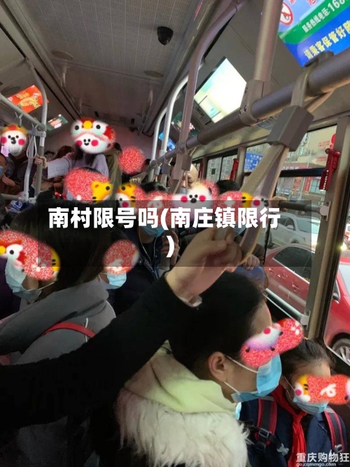 南村限号吗(南庄镇限行)-第2张图片