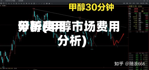 甲醇费用分析(甲醇市场费用分析)-第2张图片