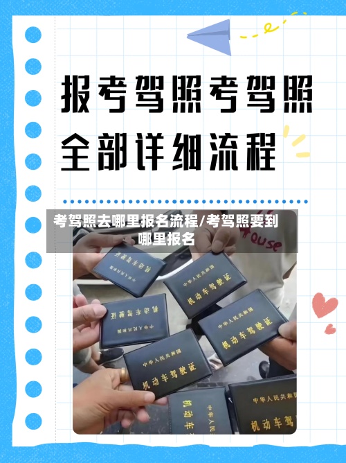 考驾照去哪里报名流程/考驾照要到哪里报名-第2张图片