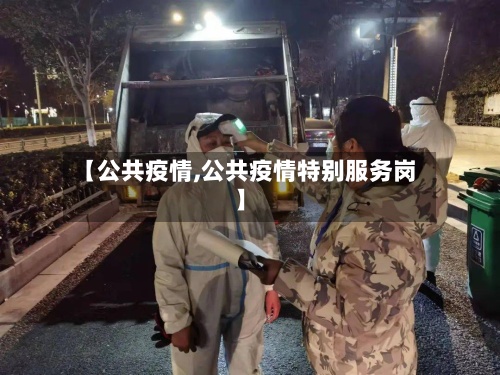 【公共疫情,公共疫情特别服务岗】-第3张图片