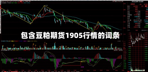 包含豆粕期货1905行情的词条-第3张图片