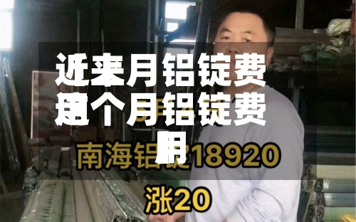近来
【上月铝锭费用
这个月铝锭费用
】