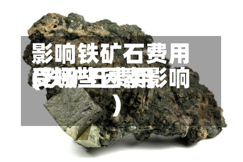 影响铁矿石费用
(铁矿石费用
受哪些因素影响)