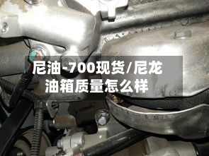 尼油-700现货/尼龙油箱质量怎么样