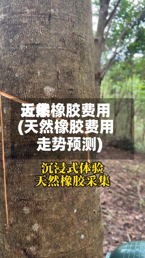 近来
天然橡胶费用
(天然橡胶费用
走势预测)-第2张图片