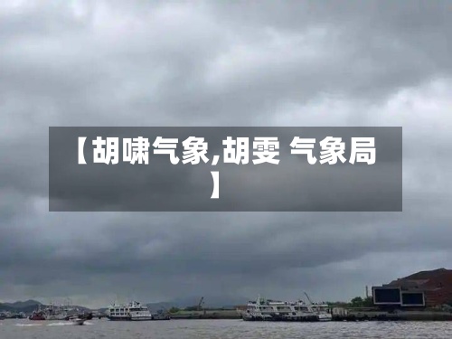 【胡啸气象,胡雯 气象局】