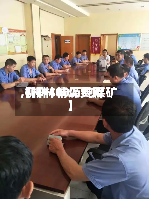 【柳林精煤费用
,柳林400万吨煤矿】-第3张图片