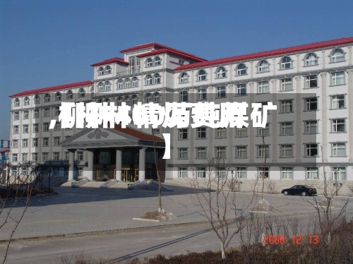 【柳林精煤费用
,柳林400万吨煤矿】