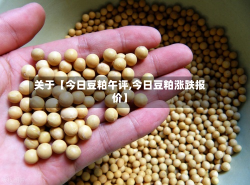 关于【今日豆粕午评,今日豆粕涨跌报价】