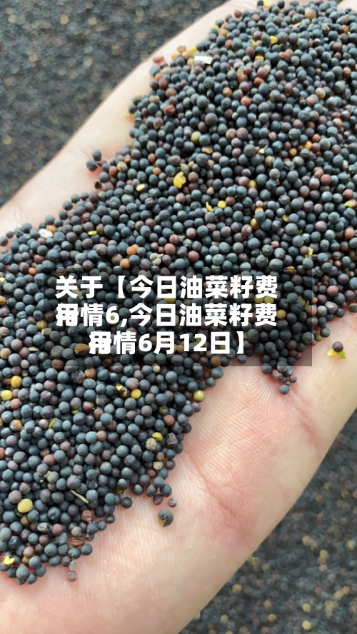 关于【今日油菜籽费用行情6,今日油菜籽费用行情6月12日】-第2张图片