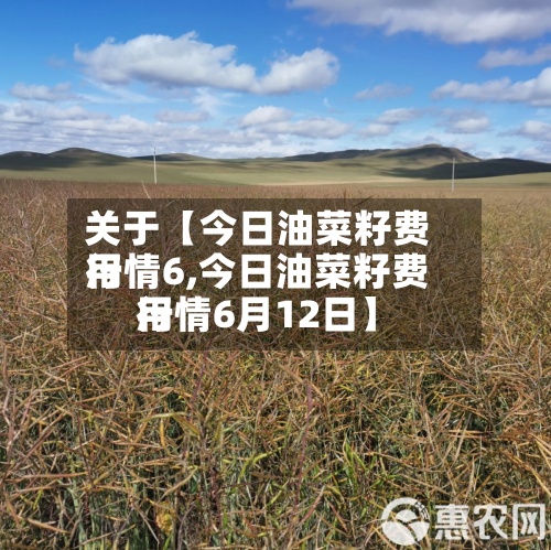 关于【今日油菜籽费用行情6,今日油菜籽费用行情6月12日】