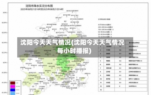 沈阳今天天气情况(沈阳今天天气情况每小时播报)