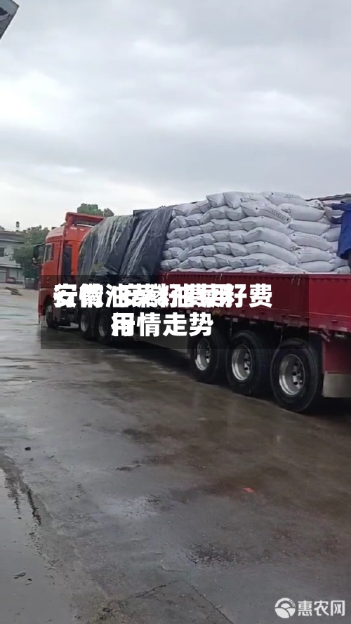 安徽油菜籽费用
行情/安徽油菜籽费用
行情走势-第2张图片
