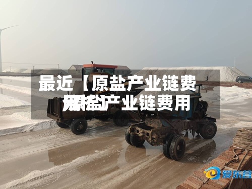 最近【原盐产业链费用,原盐产业链费用分析】