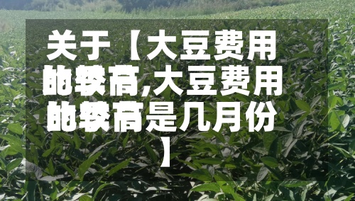关于【大豆费用
比较高
的季节,大豆费用
比较高
的季节是几月份】