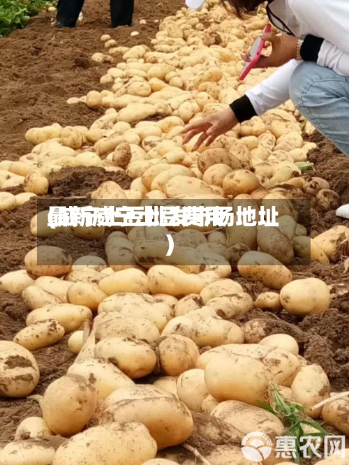 最新威宁土豆费用
(威宁土豆批发市场地址)-第2张图片