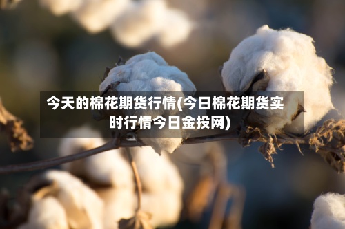 今天的棉花期货行情(今日棉花期货实时行情今日金投网)-第2张图片
