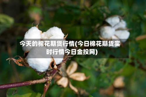 今天的棉花期货行情(今日棉花期货实时行情今日金投网)