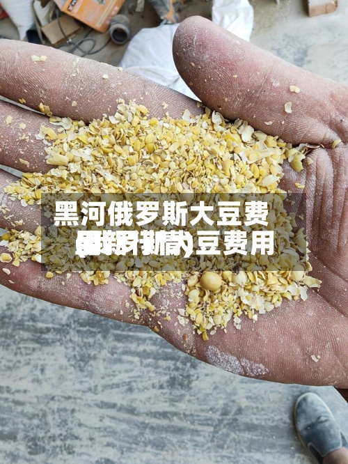 黑河俄罗斯大豆费用
(俄罗斯大豆费用
最新行情)-第3张图片