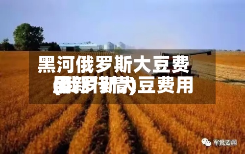 黑河俄罗斯大豆费用(俄罗斯大豆费用最新行情)