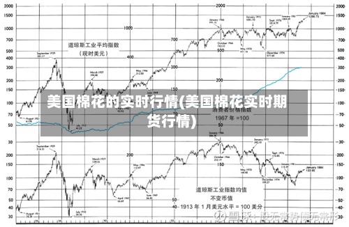 美国棉花的实时行情(美国棉花实时期货行情)-第2张图片