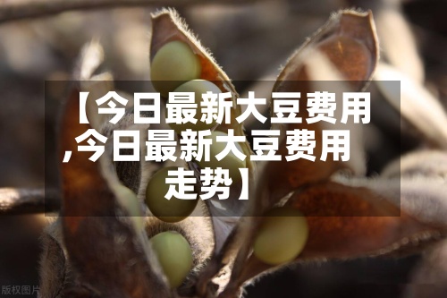 【今日最新大豆费用
,今日最新大豆费用
走势】
