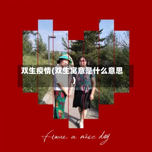 双生疫情(双生寓意是什么意思)