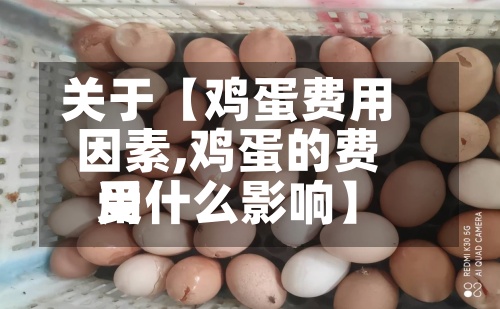 关于【鸡蛋费用
因素,鸡蛋的费用
受什么影响】-第2张图片