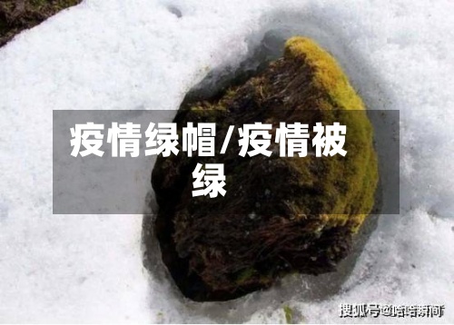 疫情绿帽/疫情被绿-第2张图片