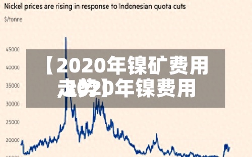 【2020年镍矿费用
,2020年镍费用
走势】