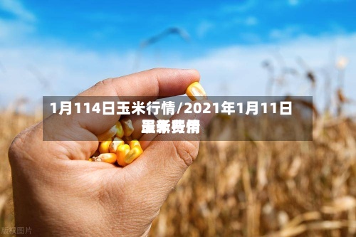 1月114日玉米行情/2021年1月11日玉米费用
最新行情-第2张图片