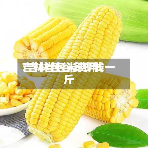 吉林省包米费用/吉林包谷多少钱一斤-第2张图片
