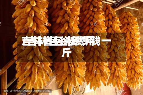 吉林省包米费用
/吉林包谷多少钱一斤
