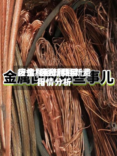 废金属最新费用
行情/废金属最新费用
行情分析-第2张图片