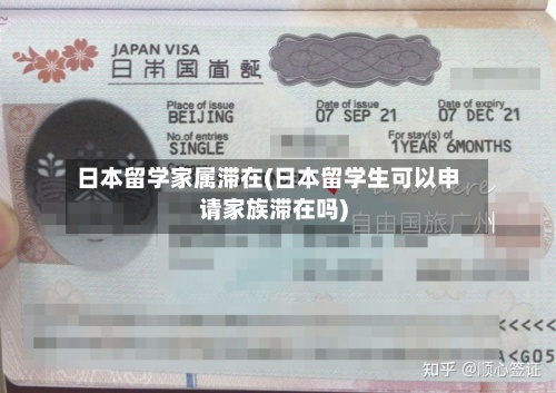日本留学家属滞在(日本留学生可以申请家族滞在吗)-第2张图片
