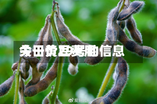 关于黄豆费用
今日价29号的信息-第2张图片