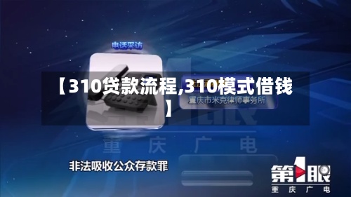 【310贷款流程,310模式借钱】
