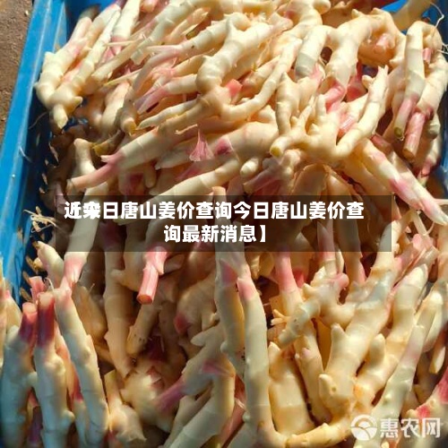 近来
【今日唐山姜价查询今日唐山姜价查询最新消息】-第2张图片