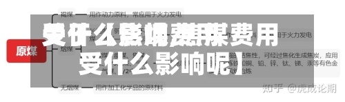 关于【焦煤费用
受什么影响,焦煤费用
受什么影响呢】-第2张图片