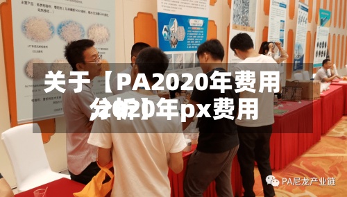 关于【PA2020年费用
,2020年px费用
分析】-第2张图片