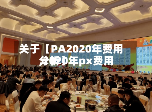 关于【PA2020年费用
,2020年px费用
分析】