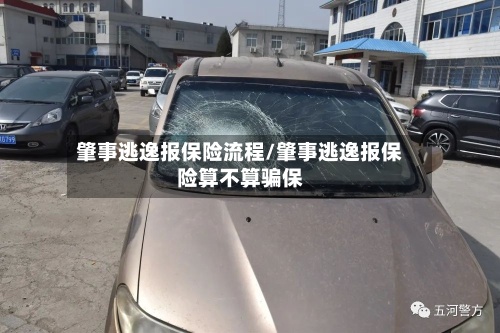 肇事逃逸报保险流程/肇事逃逸报保险算不算骗保