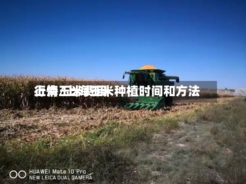 上海玉米费用
行情/上海玉米种植时间和方法-第2张图片