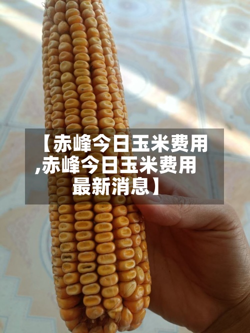 【赤峰今日玉米费用,赤峰今日玉米费用最新消息】-第3张图片