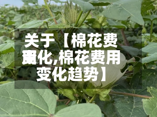 关于【棉花费用
变化,棉花费用
变化趋势】